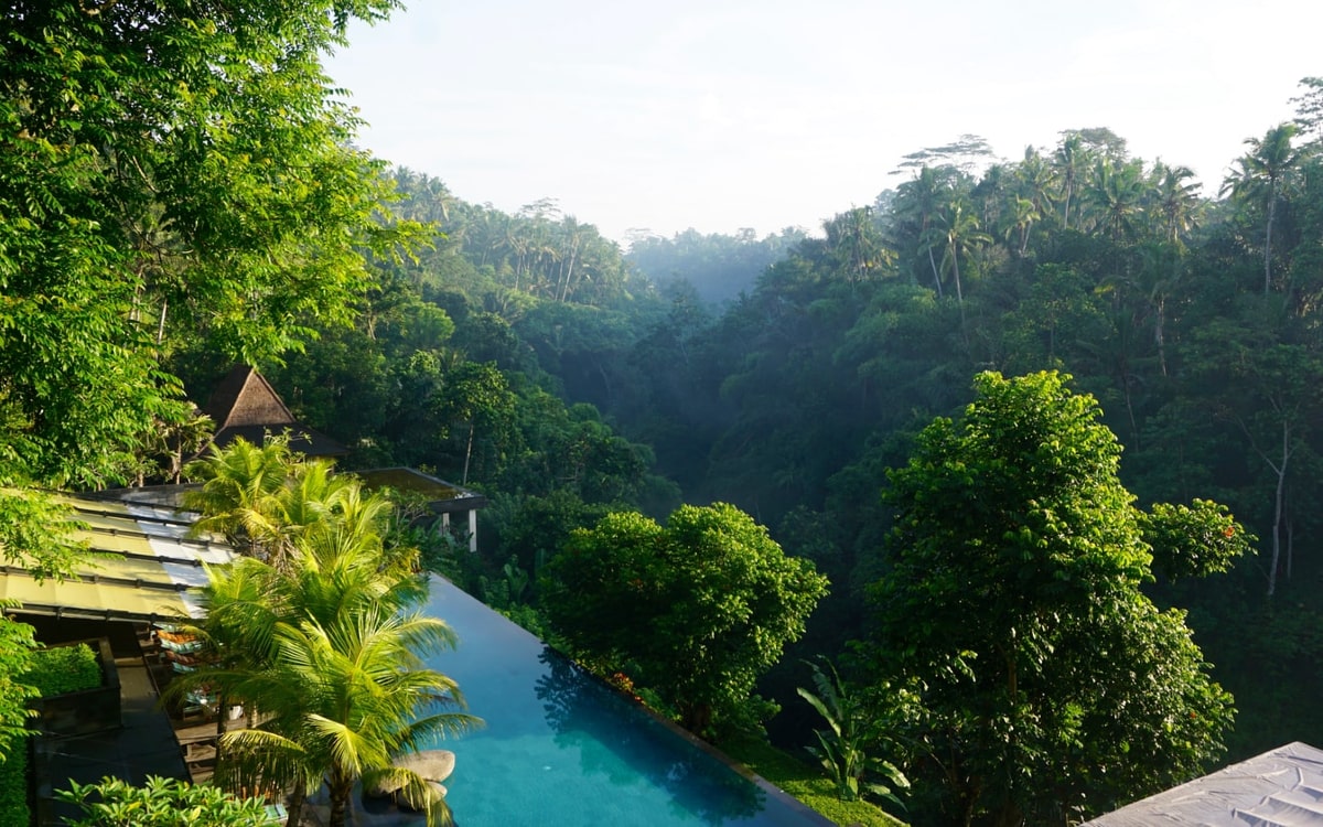 Außergewöhnliche Hotels Jungle
