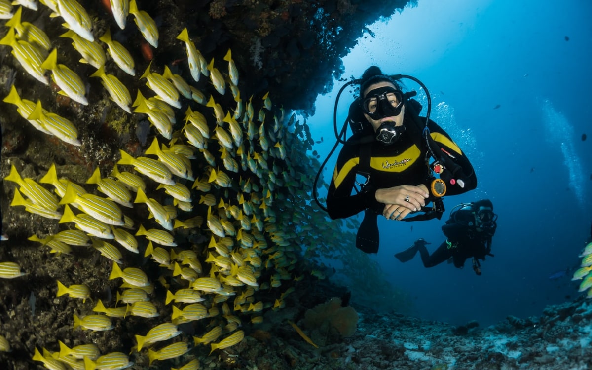 Aktivurlaub beim Tauchen: Person mit Fischen unter Wasser