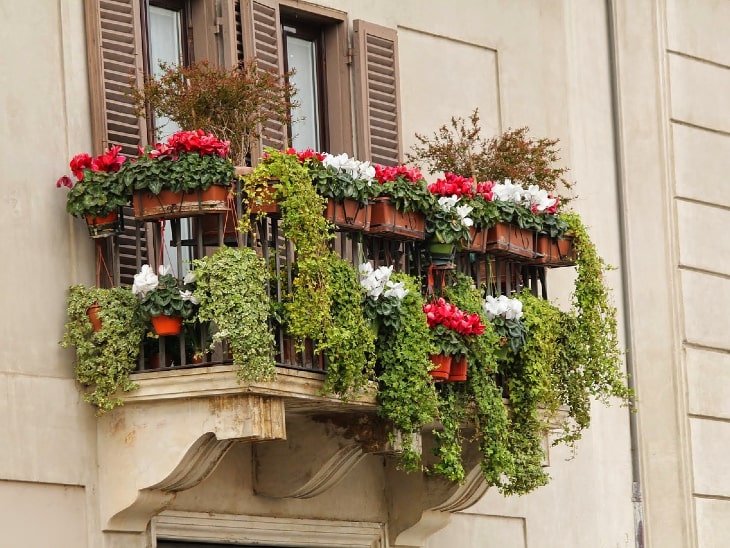 Balkon gestalten Pflanzenpracht