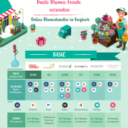 vergleich-blumen-online-bestellen-grafik