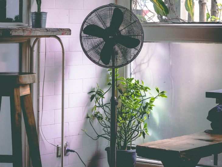 Wer gerne einen k&uuml;hlen Raum hat, setzt auf einen Standventilator.