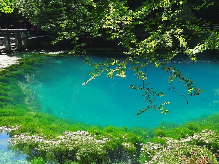 Sehenswürdigkeiten Baden-Württemberg Top Sehenswürdigkeiten Baden-Würtemberg: Blautopf