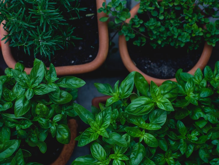 Balkon gestalten Gewürze