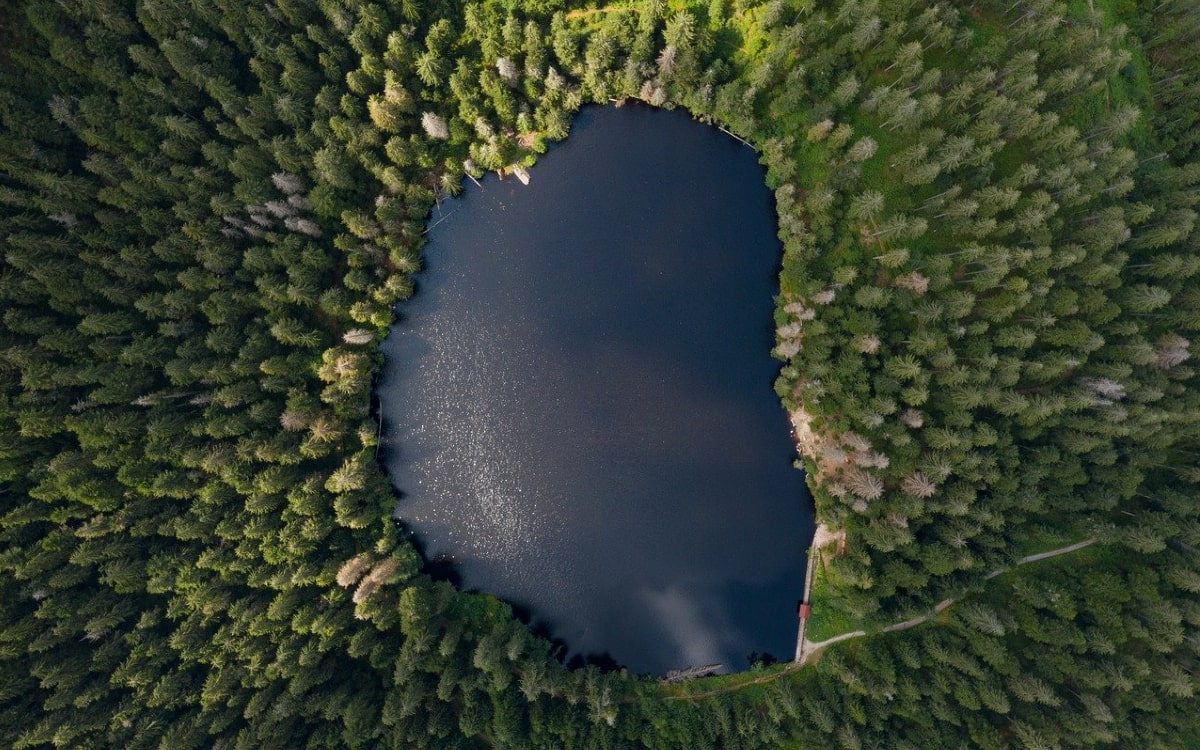 Nationalparks in Deutschland: der Glaswaldsee im Schwarzwald
