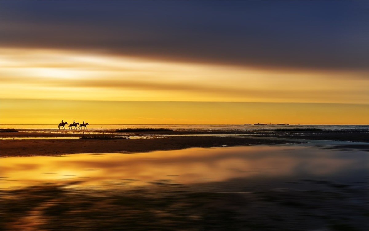 Nationalparks in Deutschland: Das Wattenmeer in der Abendsonne