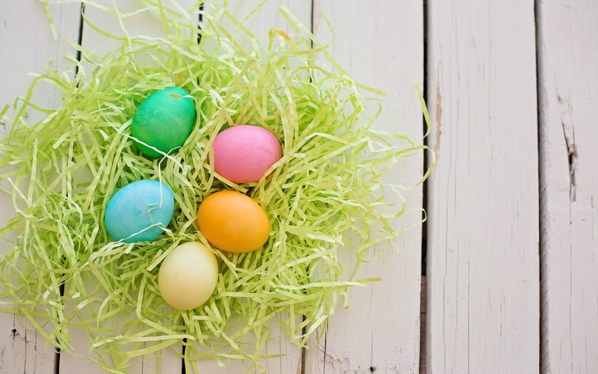 Grünes Osternest mit bunten Ostereiern