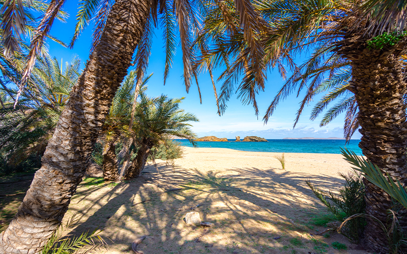 Strand von Vai auf Kreta