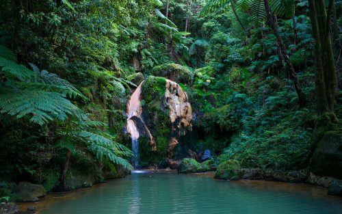 Hei&szlig;e Quelle im Urwald auf der Azoreninsel Sao Miguel