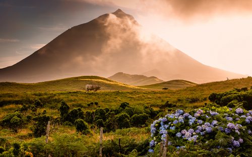 Vulkan auf der Azoreninsel Pico